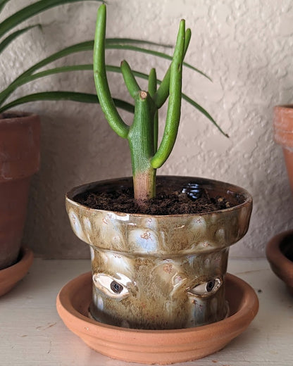 🔥Last Day 49% OFF - 💐😢Handmade Crying Flower Pot