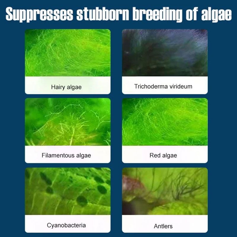 💧49% OFF - Fish Tank Water Purifier Algae Remover