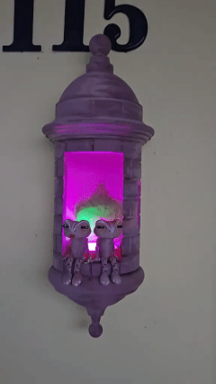 🔥LAST DAY 49% OFF-Puerto Rican Garita Wall Coqui Lamp