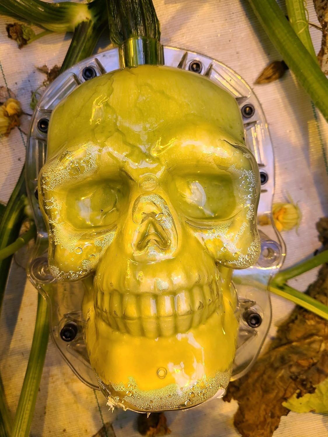🎃 DIY Haunted Pumpkins – Skull & Witch Molds 👻