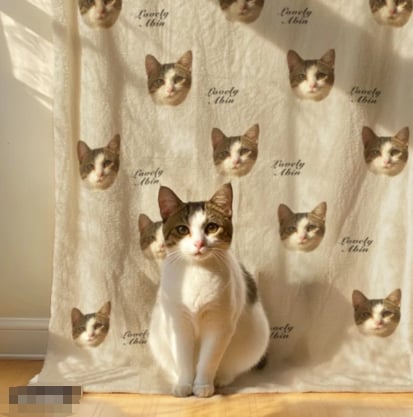 🐾 Custom Pet Blankets – Wrap Yourself in Love