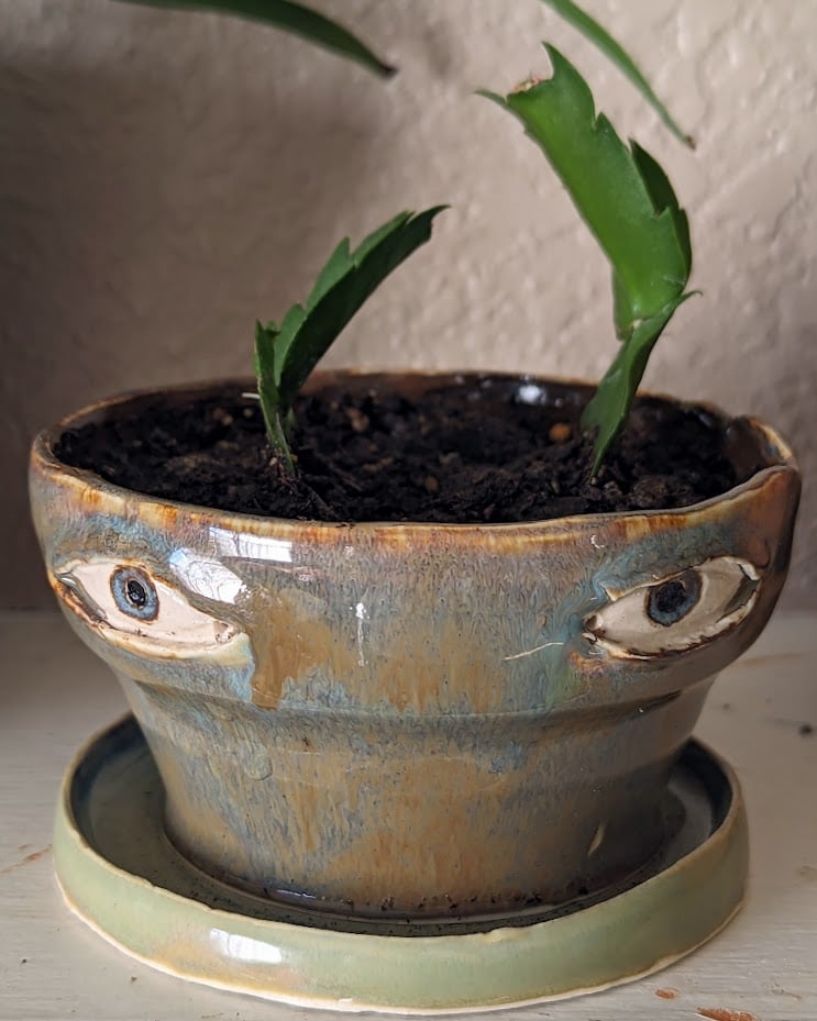 🔥Last Day 49% OFF - 💐😢Handmade Crying Flower Pot