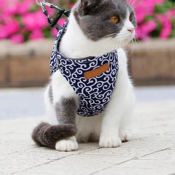 🔥Cat Dogs Vest Harness and Leash Anti-break Away Chest Strap Cat Clothes