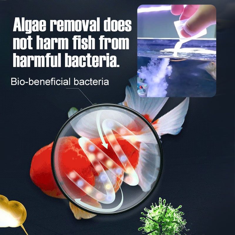 💧49% OFF - Fish Tank Water Purifier Algae Remover